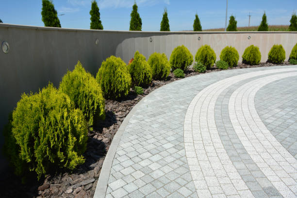 Reasons to Select Us for Your Driveway Paving Requirements in St David, AZ